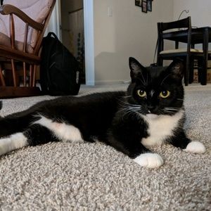 Meet your Posher, Doug